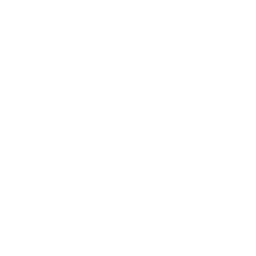 dice