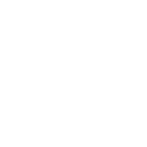 hayat