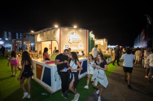 Al alamein festival events summer 2022 by d media advertising حفلات مهرجان العلمين ٢٠٢٢ عمرو دياب تامر حسني محمد حماقي ويجز شارموفرز امال ماهر تنظيم دي ميديا