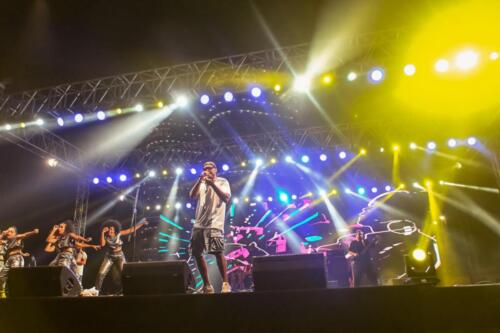 Al alamein festival events summer 2022 by d media advertising حفلات مهرجان العلمين ٢٠٢٢ عمرو دياب تامر حسني محمد حماقي ويجز شارموفرز امال ماهر تنظيم دي ميديا